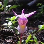 Jennifer Knauer Davis - @jkdtexas - Instagram