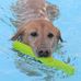 Jennifer Knouse - Facebook