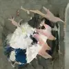 jenniferkula8 - @jenniferkula8 - TikTok