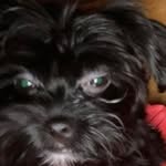 Jennifer Labbe - @snoopy197308 - Instagram