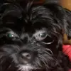 Jennifer Labbe - @jennifer.labbe82 - TikTok