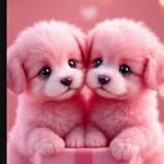 Jennifer Laboy - @laboy0131 - Instagram