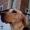 JenniferL791 - @jenniferladner7911 - TikTok