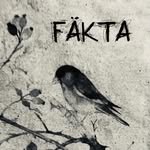 FÄKTA - @jenniferlandermusik - Instagram
