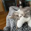 Jennifer Latiolais - @jenniferlatiolais1 - TikTok