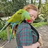 jenniferclaxton52 - @jenniferclaxton52 - TikTok