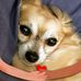 Jenny Laxton - Facebook