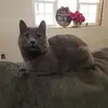 Jennifer LeAnne - @jennifer.leanne81 - TikTok