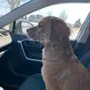 jenniferleber - @jenniferleber - TikTok