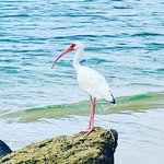 Jennifer Day LeMay - @jennsfloridafeet - Instagram
