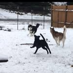 Jennifer Lemay - @jennifer.lemay.16 - Instagram