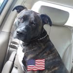 Jennifer Lemay - @jennifer.lemay.182 - Instagram