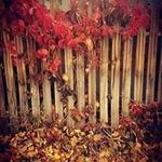 Jennifer Lepper - @jenniferlepper - Instagram