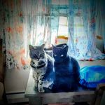 Jennifer Levan - @jen11972 - Instagram