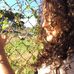 Jennifer lor. - Facebook