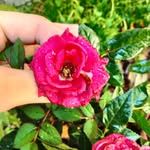 Jennifer Luff - @lufftwin - Instagram