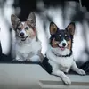 jenniferwluffman - @jenniferwluffman - TikTok