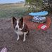 Jennifer MacNeill - Facebook