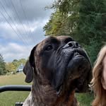 Jennifer Maloy - @blindcrowlife - Instagram