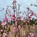 Jennifer Maloy - Facebook