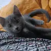 Jennifer - @jennifermanu31 - TikTok