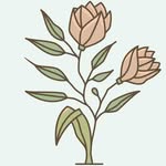 Jennifer | Shady Maple Farm - @shadymaplefarm_nc - Instagram