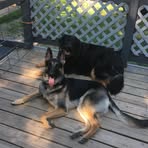 Jennifer Maple - Facebook