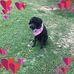 Jennifer McCubbin - Facebook