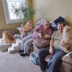 Jennifer L. Lloyd-Mentzer - @lloydmentzer - Instagram