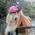 Jennifer Menzel - Facebook