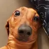 Jeny Montero - @jennifermontero19 - TikTok