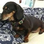 Jennifer Morrill - @bartokmd - Instagram