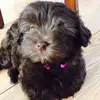 Jennifer Morrill - @jennifer.morrill5 - TikTok