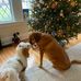 Jennifer Mulhern - Facebook