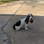 Jennifer Mitchum - @jennifer_needsmoresleep - Instagram