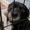 jennifer_needsmoresleep - @jennifer_needsmoresleep - TikTok