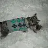 jennifernellis63 - @jennifernellis63 - TikTok