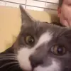 JenNo - @jenniferno9 - TikTok