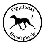 Jennifer Noack - @pippilottas_hundephysio - Instagram