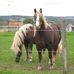 Jennifer Noack - Facebook