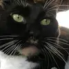 Jennifer Null - @jennifer.null3 - TikTok