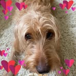 Jenny Nutting - Facebook