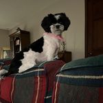 Jennifer Parrish - @jenniferparrish197 - Instagram