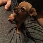 jenniferparson - @jenniferparson - Instagram