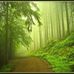 Jennifer Pass - Facebook