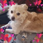 Jennifer Pepper - Facebook