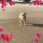 Jennifer Pepper Doucette - @doucette5665 - Instagram