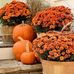 Jen Peterman-Moutria - Facebook