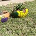 Jennifer Petroff - Facebook