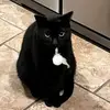 jenniferpfeffer1 - @jenniferpfeffer1 - TikTok